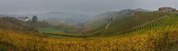 Panorama der herbstlichen Weinberge — Stockfoto