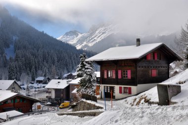 Kırsal kış dağ manzarası