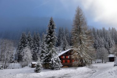 Kırsal kış dağ manzarası