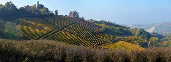Panorama der herbstlichen Weinberge — Stockfoto