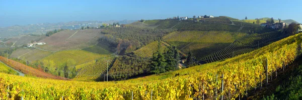 Panorama der herbstlichen Weinberge — Stockfoto