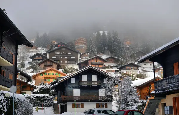 Kırsal kış dağ manzarası