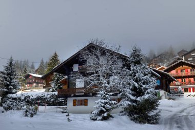 Kırsal kış dağ manzarası