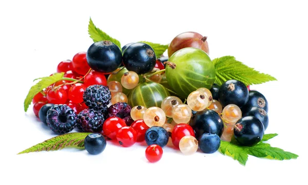 Set of berries — Stock Photo, Image