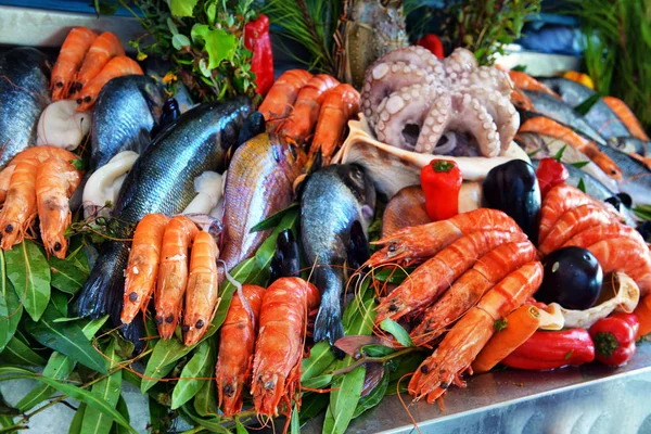 Show-window of seafood — Stock Photo, Image