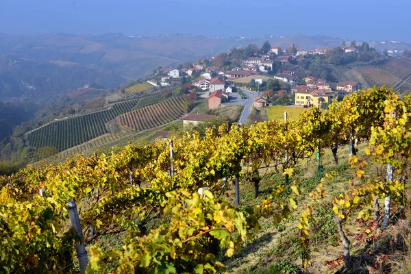 Panorama des vignobles d'automne — Photo