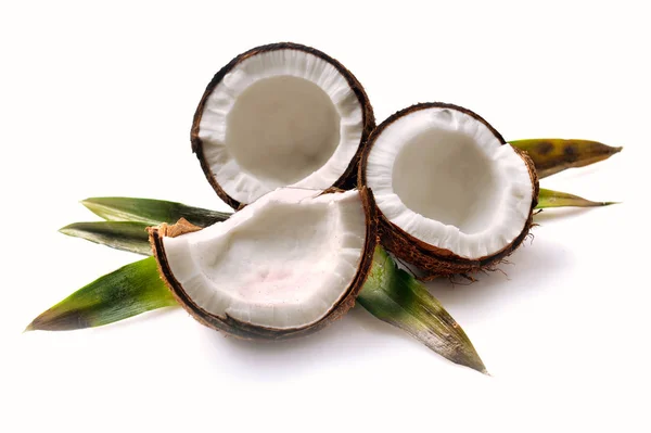 Cocco con foglie — Foto Stock