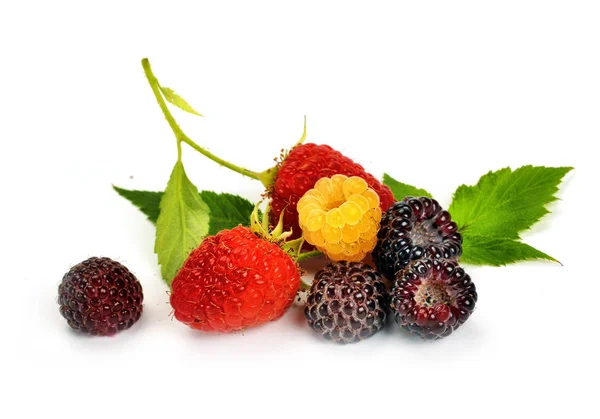 Black yellow and red raspberries — Stock Photo, Image