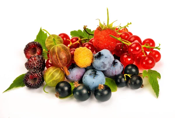 Summer ripe berries with leaves — Stock Photo, Image