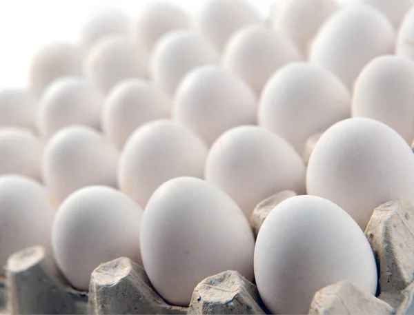 Bir kaset tepsisi veya karton kutu içinde tavuk beyaz yumurta — Stok fotoğraf