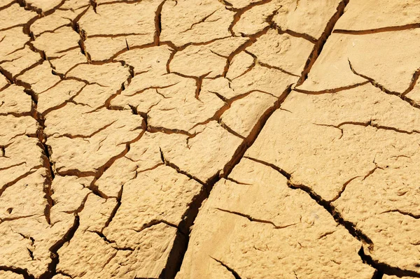 Cracked clay ground into the dry season — Stock Photo, Image