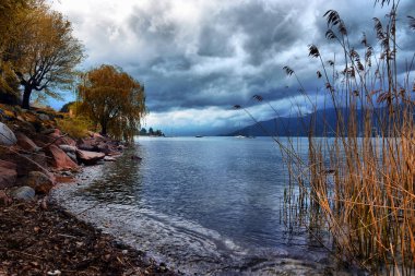 Bahar peyzaj göl kenarındaki sazlar ile