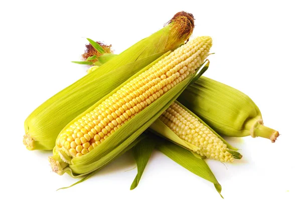 Ovoce čerstvé kukuřice se zelenými listy — Stock fotografie