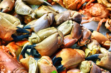 Yengeç pençeleri üstünde belgili tanımlık sayaç 