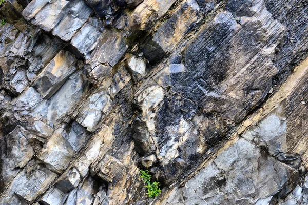 Concepto de fondo y textura - primer plano de piedra de granito surfa — Foto de Stock