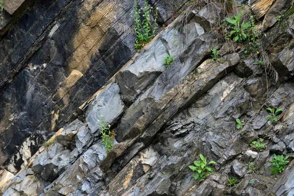 Concepto de fondo y textura - primer plano de piedra de granito surfa — Foto de Stock