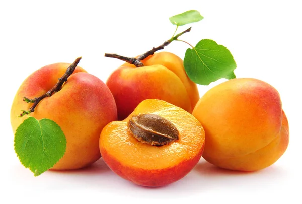 Apricot fruit with leaves on the white background. — Stock Photo, Image