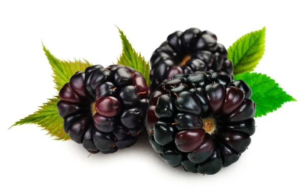 Dewberries (ブラックベリー) と緑の葉 — ストック写真