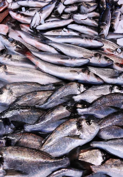 Vitrína mořské plody moře trhu — Stock fotografie