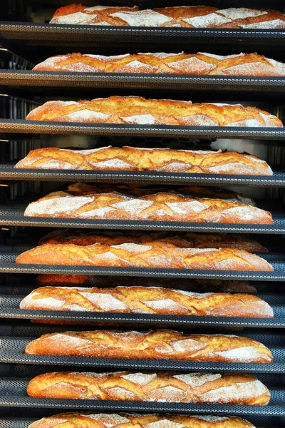 Hogaza de pan se hornea — Foto de Stock