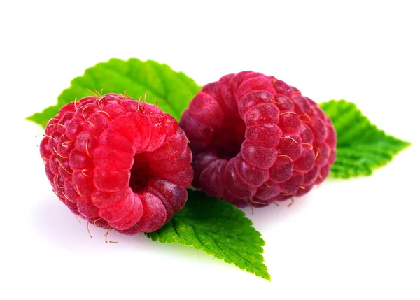 Isolated raspberries. Fresh raspberry with leaf — Stock Photo, Image