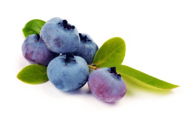 yaban mersini ve yeşil yaprak