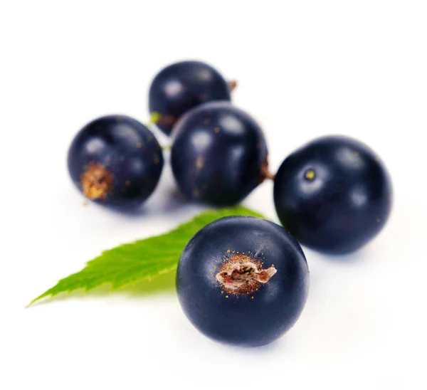 Black currants with leaves — Stock Photo, Image