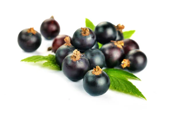 Boabe de coacăze negre. O grămadă de fructe de coacăze negre cu frunze — Fotografie, imagine de stoc