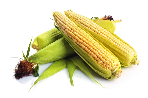 Čerstvé kukuřice se zelenými listy zátiší zeleniny. Izolované na — Stock fotografie