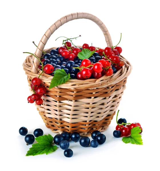 Basket of berries — Stock Photo, Image