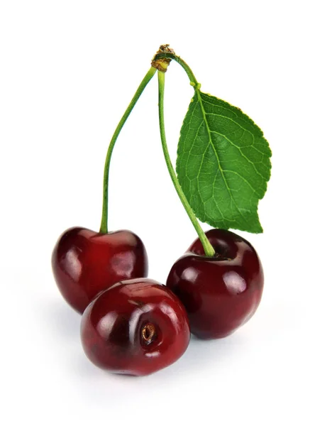 Cherry berry fruit isolated on white background — Stock Photo, Image