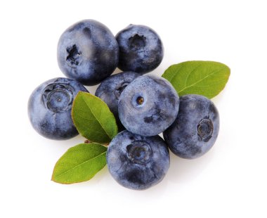 yaban mersini ve yeşil yaprak