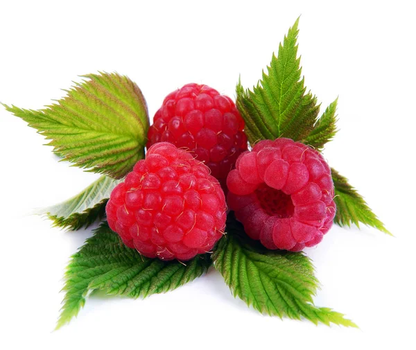 Isolated raspberries. Fresh raspberry with leaf isolated — Stock Photo, Image