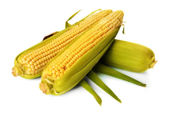Frischer Mais mit grünen Blättern Stillleben Gemüse — Stockfoto