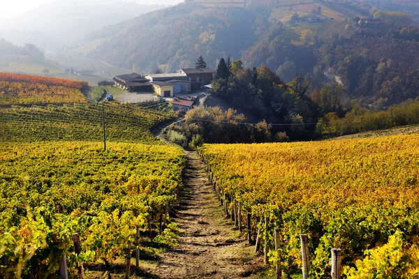 Panorama över höstens vingårdar i Italien — Stockfoto