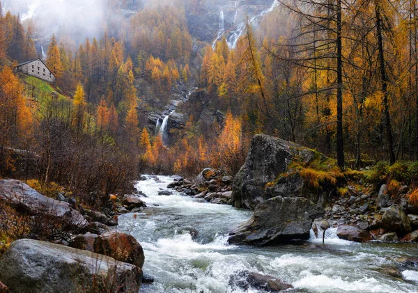 Жовтий модрини та водоспадів в осінній Альпах — стокове фото