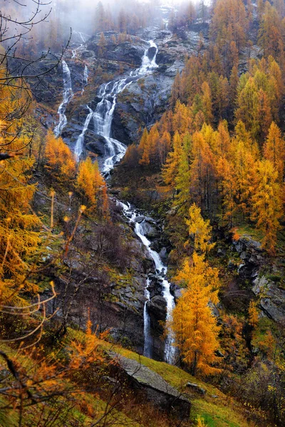Žluté modříny a vodopády v podzimní Alpy — Stock fotografie