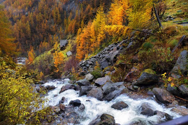 Yellow larch and waterfalls in the autumnal Alps — Stock Photo, Image