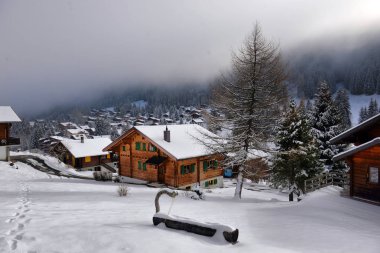 Kırsal kış dağ manzarası