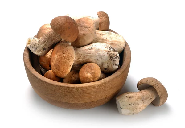 Autumn Cep Mushrooms in a basket — Stock Photo, Image