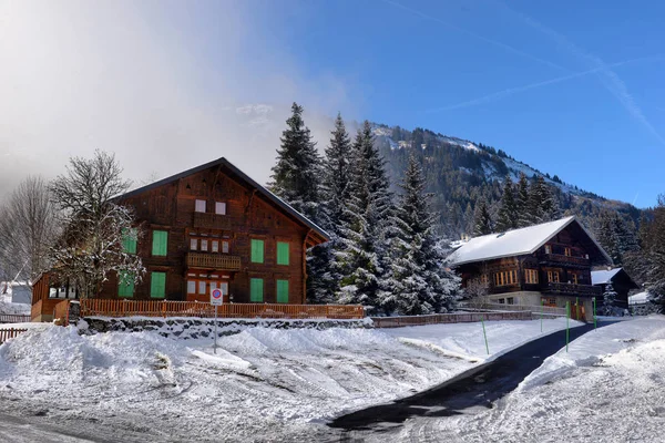 Kırsal kış dağ manzarası