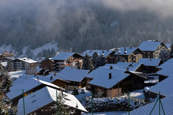 Kırsal kış dağ manzarası