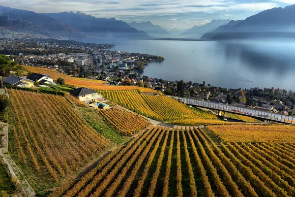 Zobrazit v regionu Lavaux podzimní den, Vaud, Švýcarsko — Stock fotografie