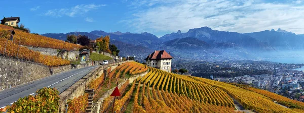 Panorama das vinhas de outono na Suíça — Fotografia de Stock