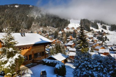 Kırsal kış dağ manzarası