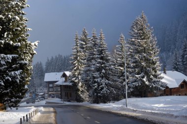 Kırsal kış dağ manzarası