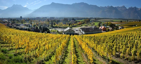 Panorama of autumn vineyards in Switzerland — Stock Photo, Image