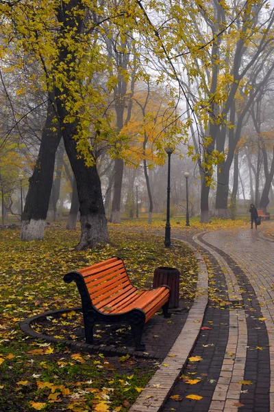 Colorful autumn trees with yellowed foliage in the autumn park. — Stock Photo, Image