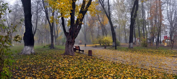Pepohonan musim gugur berwarna-warni dengan dedaunan kuning di taman musim gugur — Stok Foto