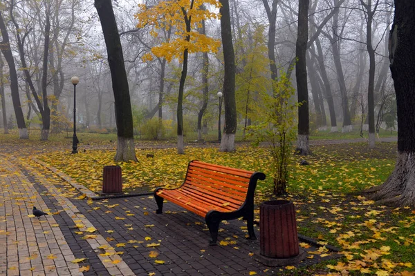 Colorful autumn trees with yellowed foliage in the autumn park. — Stock Photo, Image